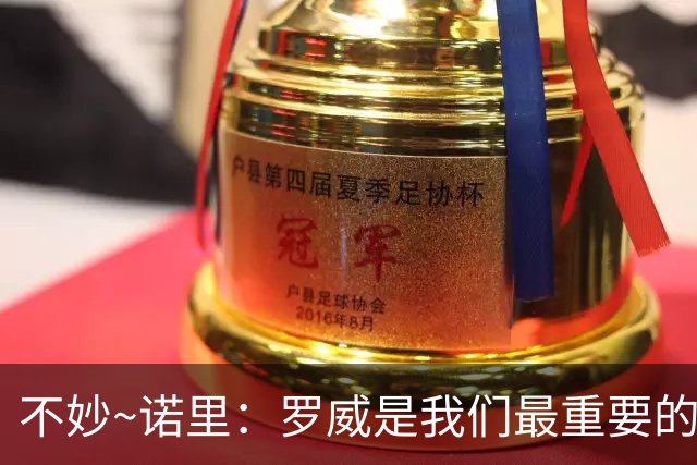 不妙~诺里：罗威是我们最重要的拼图 他和克林根能提供48分钟护筐
