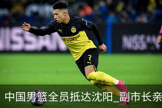 中国男篮全员抵达沈阳 副市长亲自接机，偶遇粉丝团秒变背景板！