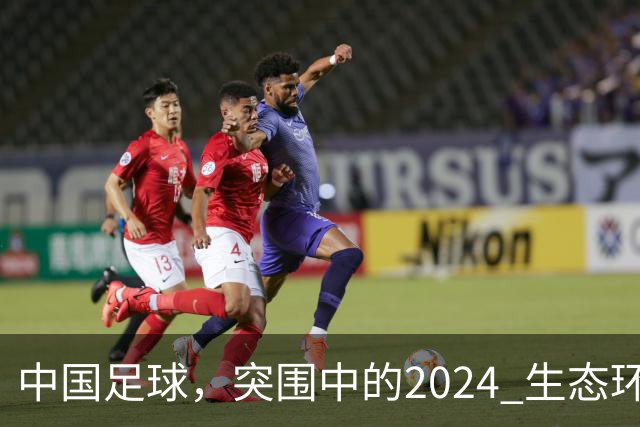 中国足球，突围中的2024 生态环境将实现好转