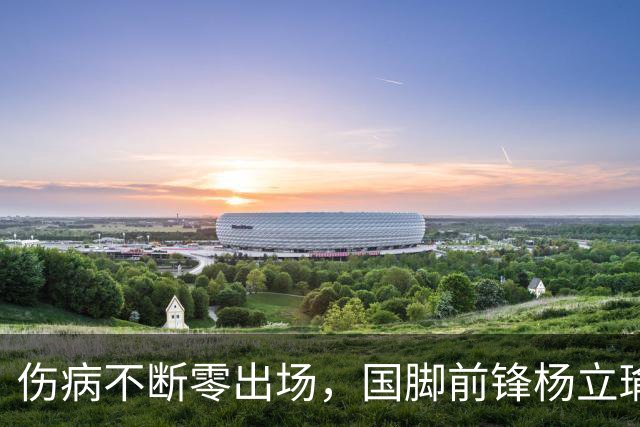 伤病不断零出场，国脚前锋杨立瑜或将告别北京国安，转投家乡重庆铜梁龙