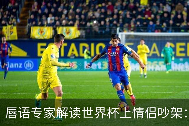 唇语专家解读世界杯上情侣吵架：因为手机上的内容吵了起来