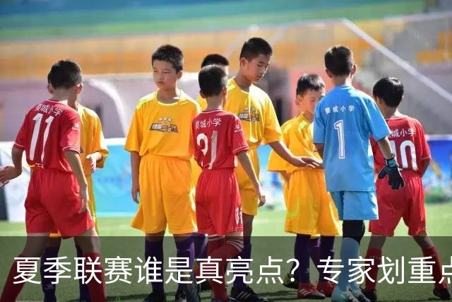 夏季联赛谁是真亮点？专家划重点：得分不重要，这些数据才预示未来