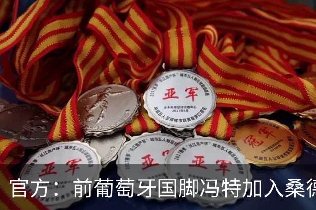 官方：前葡萄牙国脚冯特加入桑德兰教练组