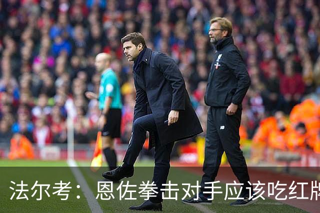 法尔考：恩佐拳击对手应该吃红牌 塔尔德利：美国主裁不适合执法