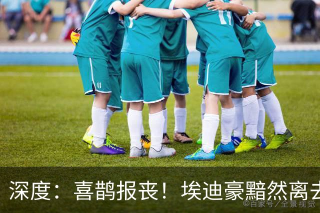 深度：喜鹊报丧！埃迪豪黯然离去 大病纽卡一地鸡毛