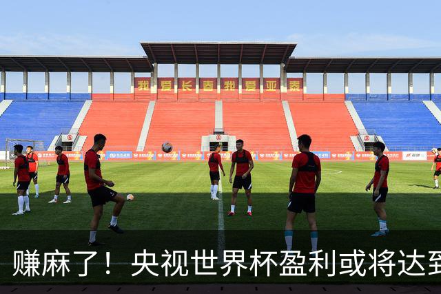 赚麻了！央视世界杯盈利或将达到50-60亿元人民币